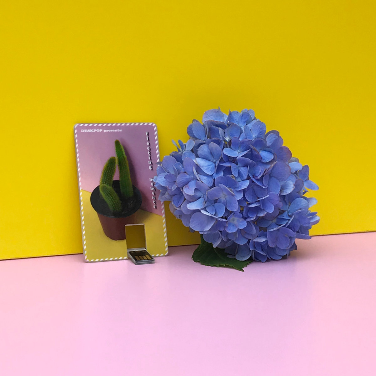 Various Artists – ~ fleeting moments ~&nbsp;(2017)